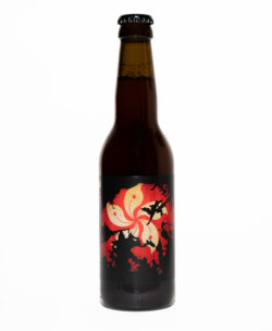Hong Kong cerveza artesanal